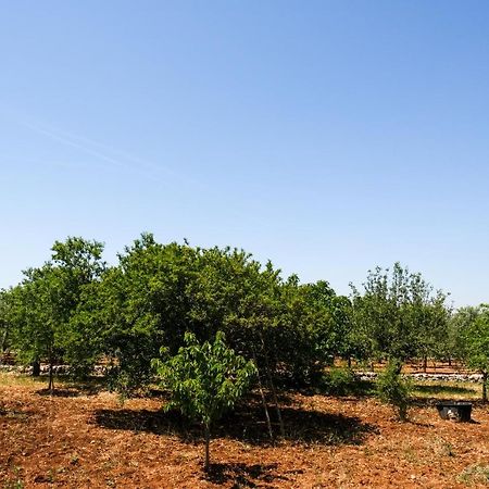 Trullo Elvira & Luigi Βίλα Monopoli Εξωτερικό φωτογραφία