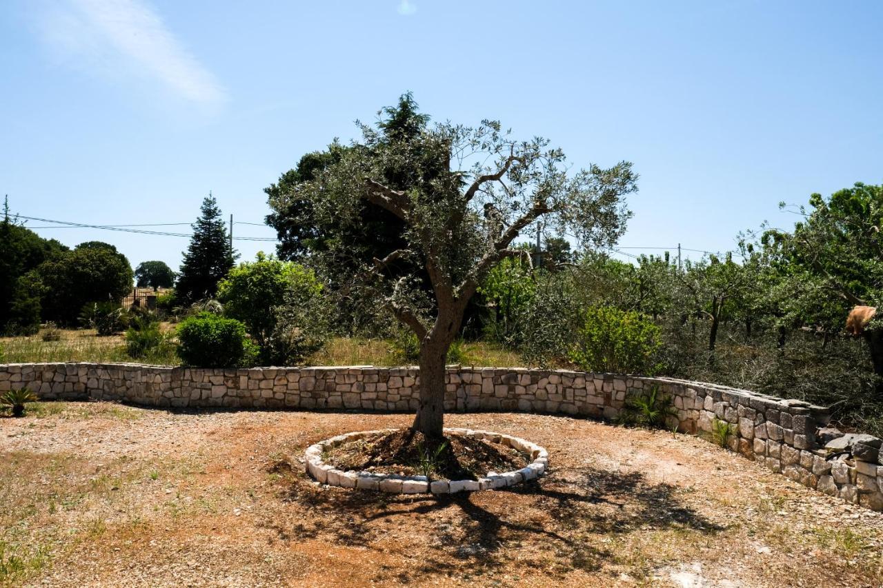 Trullo Elvira & Luigi Βίλα Monopoli Εξωτερικό φωτογραφία