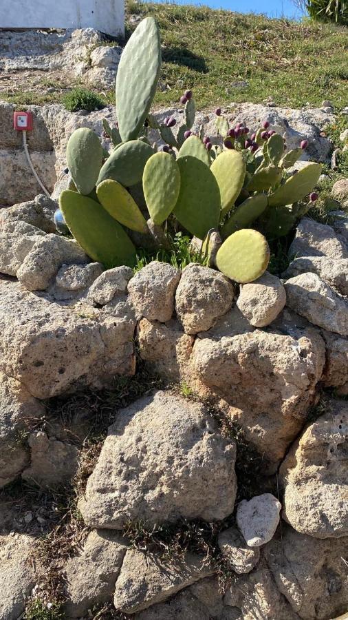 Trullo Elvira & Luigi Βίλα Monopoli Εξωτερικό φωτογραφία